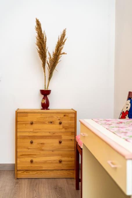 Guesthouse Pet'S Friendly Quattromiglio المظهر الخارجي الصورة